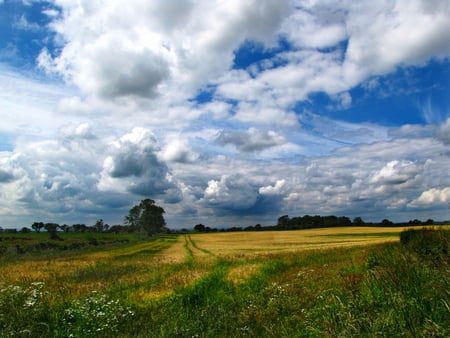 Summer breeze - clouds, breeze, summer, blue, fields, landscape, graas, sesons, white, nature, picture, green, background, sky, silent