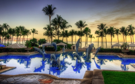 Beautiful View - pretty, relax, swimming pool, summer, blue, splendor, grass, sunrise, reflection, flowers, dolphins, swimming, view, sky, clouds, palms, trees, water, beautiful, dolphin, sea, beauty, colors, lovely, ocean, colorful, nature, sunset, pool, green, peaceful