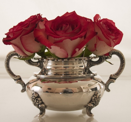 roses - vase, roses, silver, red, still life