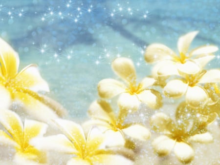 Sparkling white and yellow flowers - white, sparkling, flowers, yellow