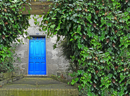 Knocking - abstract, vegetation, house, blue, image, beautiful, photography, beauty, colors, photo, door, invitation, knocking, background