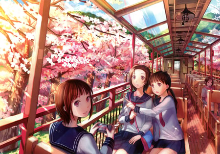 trip - girls, pionting, journey, blossom trees, spring, siting, trip, school uniform, pretty, train cart, scenery, anime, school trip, friends