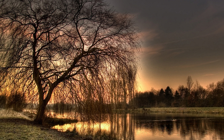 Sunset on Lake - quiet, sunset, water, nature, lake, willow