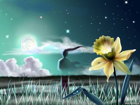 3d nature - sky, flower, 3d, girl