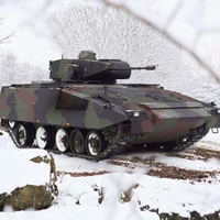 Puma on an exercise in winter