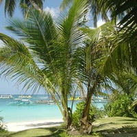 Boracay Bolabog Beach