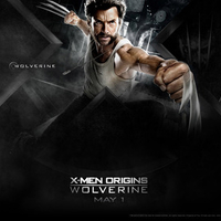 wolverine