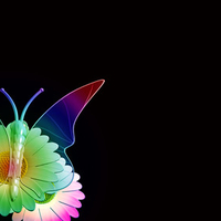 Rainbow Butterfly