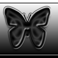 Black Butterfly