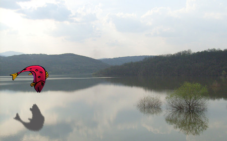 Fishermen paradise  - fishing, lake, fish, reflection, tree