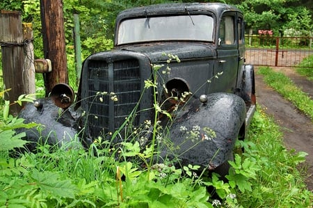 Forgotten Metal - ruin, nature, car, automobile, russian