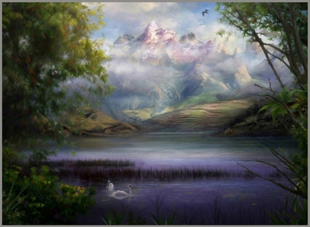 PARADISE - swans, pond, paradise, forest, mountains