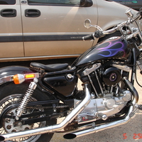 82 sportster