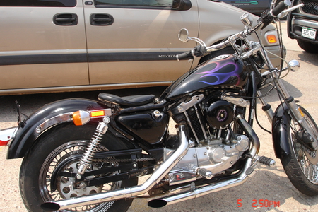 82 sportster - loud, fun, fast, harley