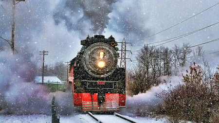 train - white, winter, train, snow