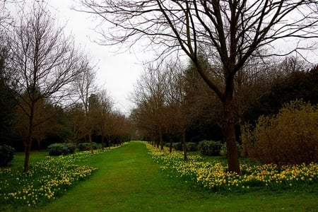 green garden - flowers, trees, nature, garden, grass