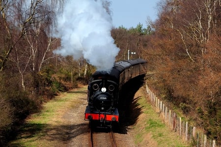 NNR Steam Gala - train, locomotive, smoke, technology, trees