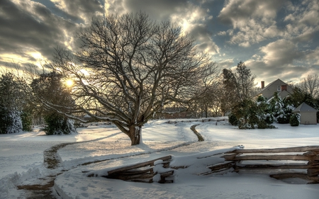 Sully Sunset - clouds, plantation, winter, nature, overcast, beautiful, setting, sunsets