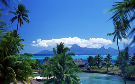 Cool Beach - picture, beach, cool, beautiful