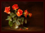 Orange rose still life