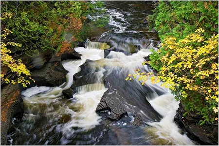 Waterfalls & Wildflowers - flowers, river, waterfalls, yellow, rapids, rocks