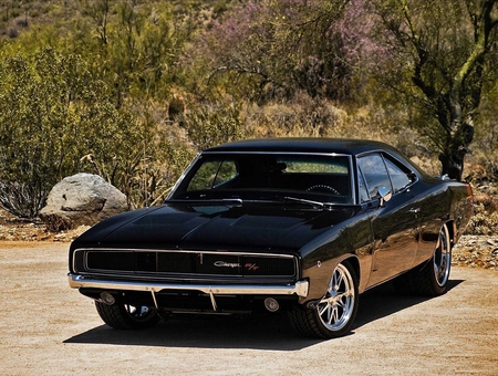 Black Beauty - black, rims, charger, car, muscle, automobile, dodge, wheels