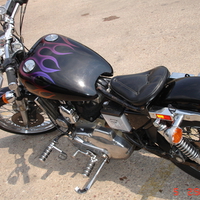 82 sportster
