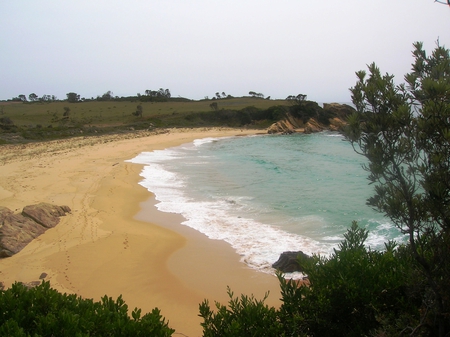 Smuggler's Cove - trees, beach, sea, private, ocean, sand, cliff, waves, rocks