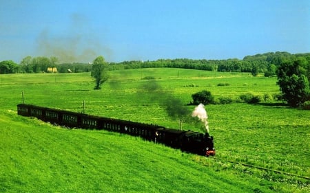 Black Coal Train - train, green, coal, grass