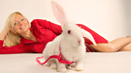 Girl and bunny - red, girl, bunny, people