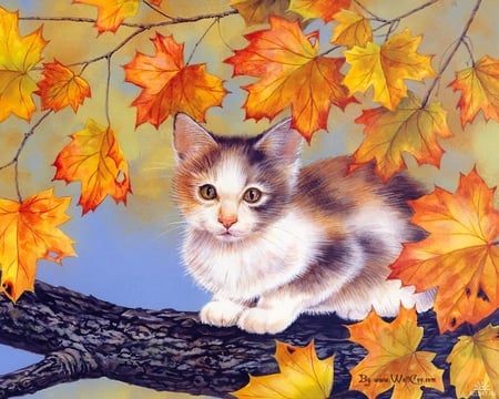 Cat on tree - animal, kitten, feline, autumn, sweet, tree, cat