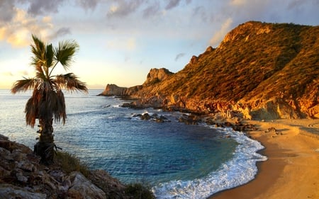 BEAUTIFUL BEACH - beach, mountain, wave, sky, bay, palm tree