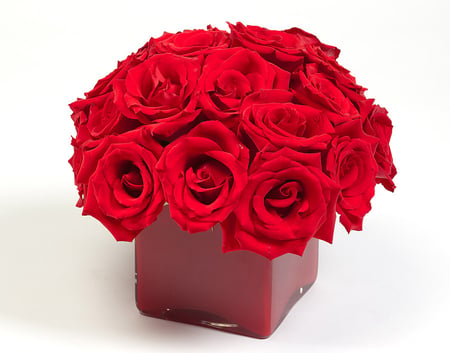 red roses - flowers, roses, red, vase