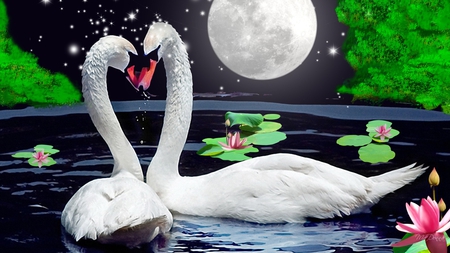 Love Under the Stars - love, swans, stars, sky, couple, trees, pair, water lilies, full moon, pond, firefox persona