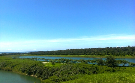 Lakeview - lake, tree, bluesky, grass