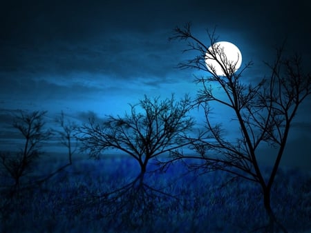 MIDNIGHT MOON - moon, sky, trees, clouds, midnight