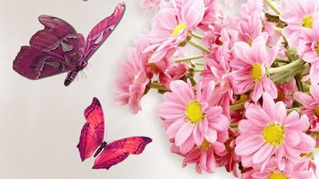 Pink and Pink - summer, butterflies, spring, pink, firefox persona, flowers, daisies, butterfly, gerber, floral