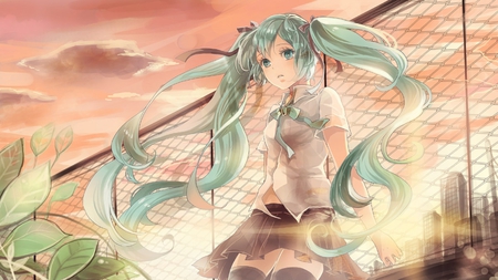 Hatsune Miku - aqua, sun, thighhighs, music, sunset, anime girl, stockings, white, art, plantes, cool, aqua eyes, artistic, hatsune miku, skirt, fence, light, song, vocaloids, program, glow, vocaloid, beautiful, leaves, uniform, diva, beauty, nice, sky, twintail, singer, aqua hair, black, virtual, pretty, idol, clouds, anime, orange, green, miku, cute, girl, cg, hatsune, roof, tie, city, awesome, digital