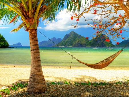 Summer vacation - beach, palm, vacation, hammock