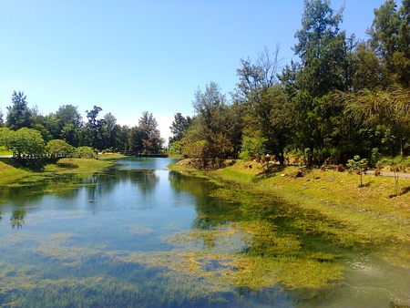 Lake Biwa - lake, estuarine plants, forest park, reflection