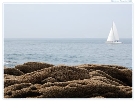 Sail Away - ocean, water, sail, boat