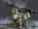 Bulldog Assault