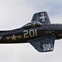 Bearcat in Flight