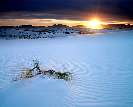 White Sand National Monument New Mexico - white, sunset, nature, desert, beautiful, sand, sun, sky