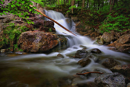 Beauty without a name - stream, forest, beauty, waterfall, nature