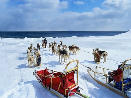 WITH SLEDGES - winter, sledges, ocean, snow