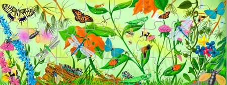 BUTTERFLIES  PUZZLE - green, border, butterflies, wallpaper