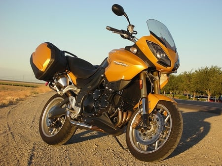 Triumph Tiger - yellow, 1050, tiger, triumph