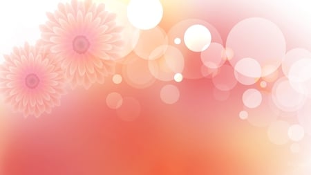 Floral Bubbles - pink, flowers, bubbles, coral, transparent, abstract, tangerine, firefox persona, fade, orange