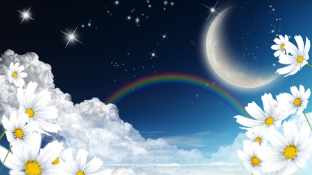 Summers Magic Sky - moon, rainbow, sky, clouds, night, sstars, daisies, firefox persona